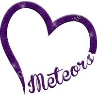 GLT36 PURPLE GLITTER Thumbnail